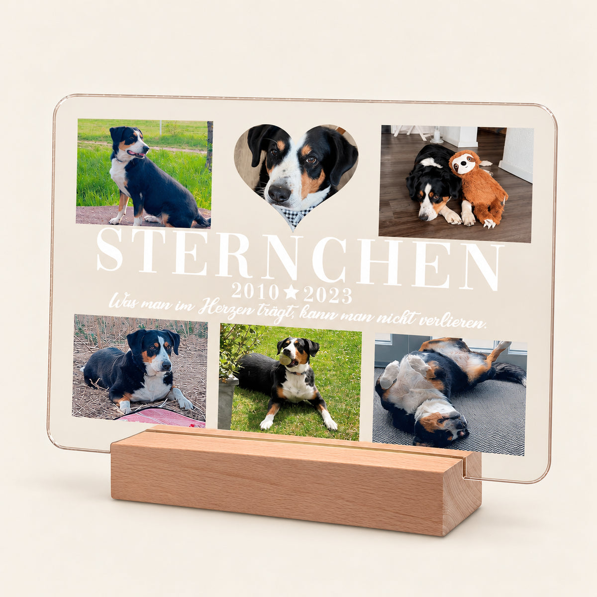 Personalisierte Haustier‑Gedenktafel aus Acryl auf leichtem Holzsockel, mit sechs Fotos eines schwarz‑weißen Hundes namens Sternchen. Text lautet 'STERNCHEN 2010 * 2023' mit einem deutschen Gedenkspruch darunter.