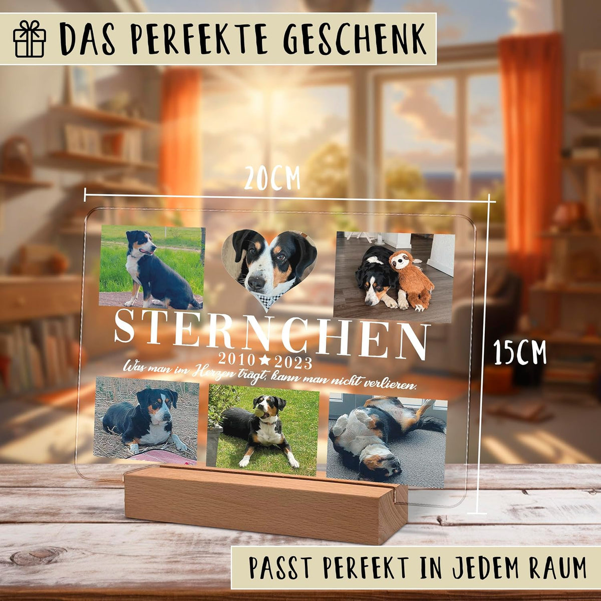 Personalisierte Gedenktafel aus Acryl (20x15 cm) auf einem Holzleuchtsockel, mit sechs Hundefotos und dem Namen „Sternchen“ sowie den Daten 2010–2023. Der deutsche Text lautet „Das perfekte Geschenk“ und „Passt perfekt in jedem Raum.“