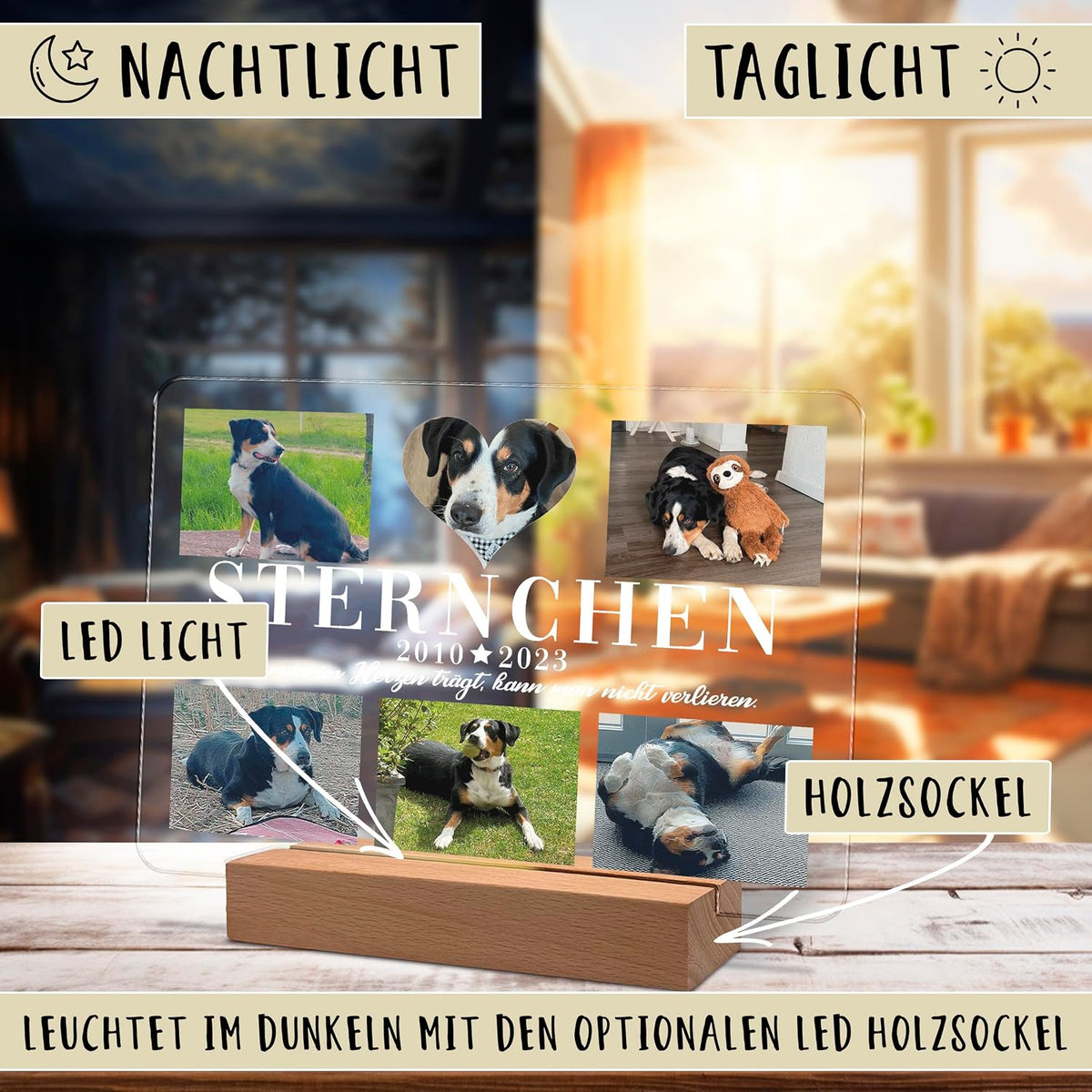 Personalisierte Gedenk-Fotoplakette aus Acryl auf einem hölzernen LED-Sockel, dargestellt in Tages- und Nachtbeleuchtung. Zeigt mehrere Hundefotos, den Namen 'Sternchen', die Daten 2010-2023 sowie Beschriftungen für das LED-Licht und den Holzsockel.